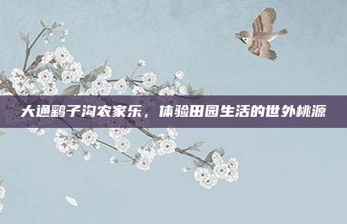 大通鹞子沟农家乐，体验田园生活的世外桃源