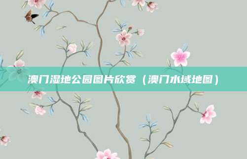 澳门湿地公园图片欣赏(澳门水域地图)