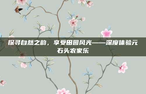 探寻自然之韵,享受田园风光——深度体验元石头农家乐