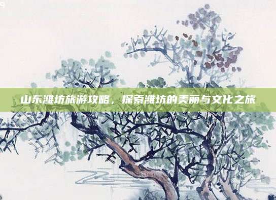 山东潍坊旅游攻略,探索潍坊的美丽与文化之旅