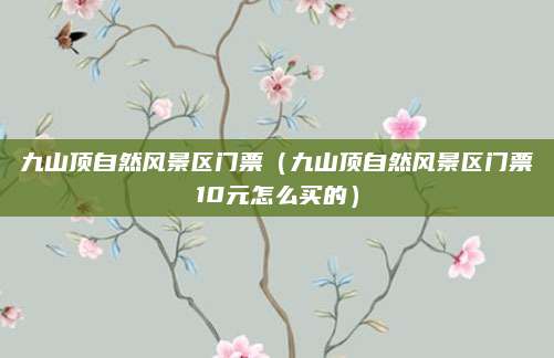九山顶自然风景区门票（九山顶自然风景区门票10元怎么买的）