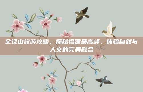 金铙山旅游攻略，探秘福建最高峰，体验自然与人文的完美融合