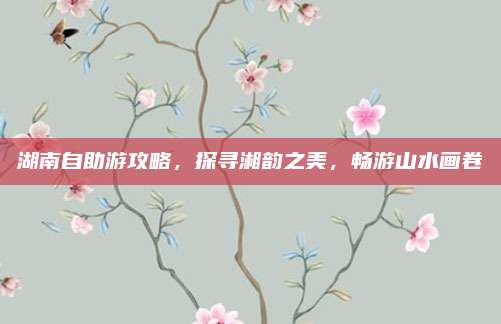 湖南自助游攻略，探寻湘韵之美，畅游山水画卷