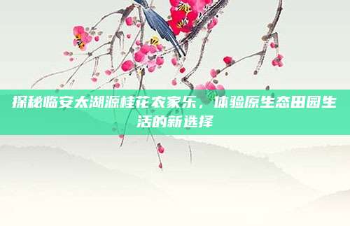 探秘临安太湖源桂花农家乐，体验原生态田园生活的新选择