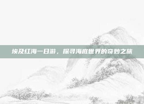 埃及红海一日游，探寻海底世界的奇妙之旅