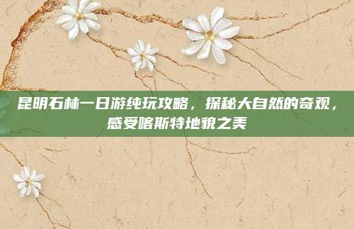昆明石林一日游纯玩攻略，探秘大自然的奇观，感受喀斯特地貌之美