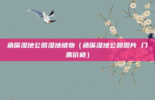 鱼嘴湿地公园湿地植物(鱼嘴湿地公园图片 门票价格)