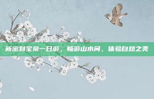 新密到宝泉一日游，畅游山水间，体验自然之美