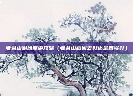 老君山跟团旅游攻略（老君山跟团去好还是自驾好）