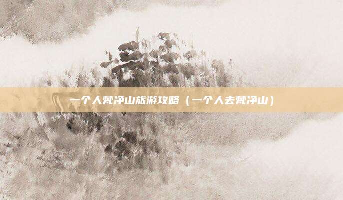 一个人梵净山旅游攻略(一个人去梵净山)