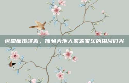逃离都市喧嚣，体验天池人家农家乐的田园时光