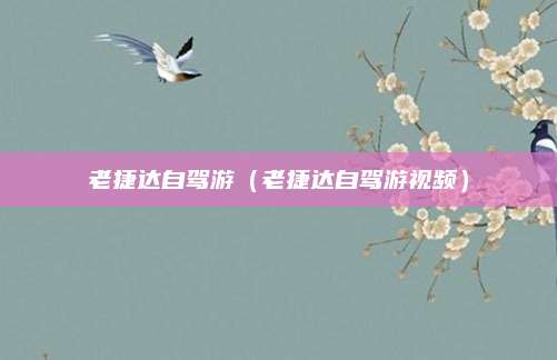 老捷达自驾游(老捷达自驾游视频)