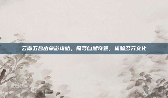 云南五台山旅游攻略,探寻自然奇观,体验多元文化