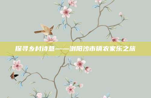 探寻乡村诗意——浏阳沙市镇农家乐之旅