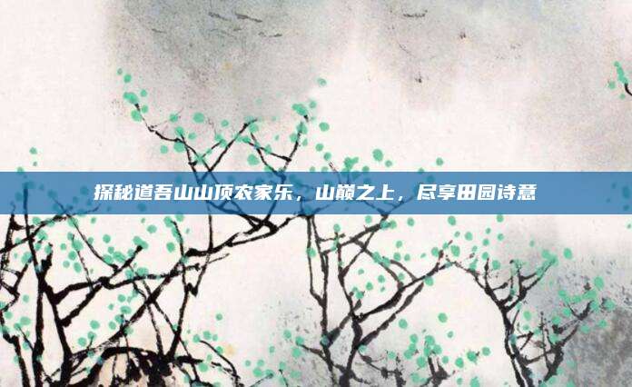 探秘道吾山山顶农家乐，山巅之上，尽享田园诗意