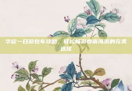 华欣一日游包车攻略，轻松畅游泰南海滨的完美选择