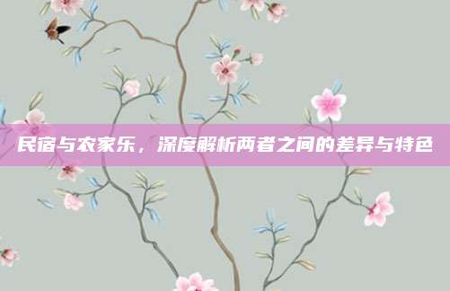 民宿与农家乐，深度解析两者之间的差异与特色