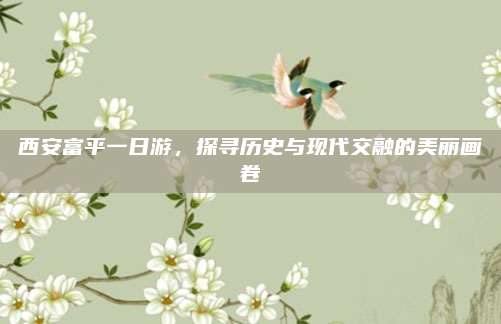 西安富平一日游，探寻历史与现代交融的美丽画卷