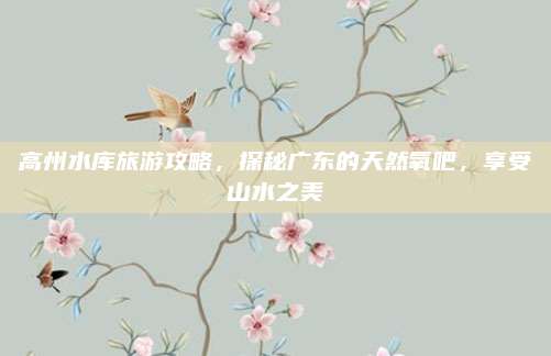高州水库旅游攻略，探秘广东的天然氧吧，享受山水之美