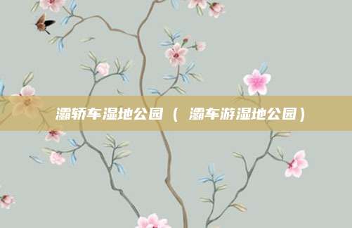 浐灞轿车湿地公园（浐灞车游湿地公园）