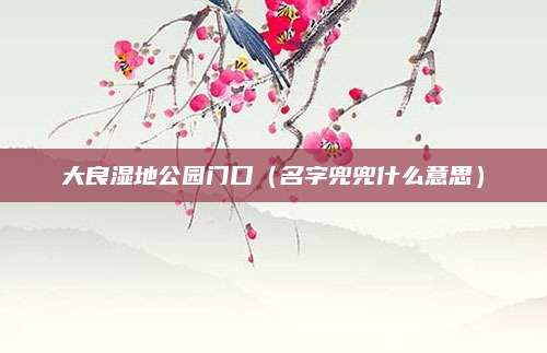 大良湿地公园门口（名字兜兜什么意思）