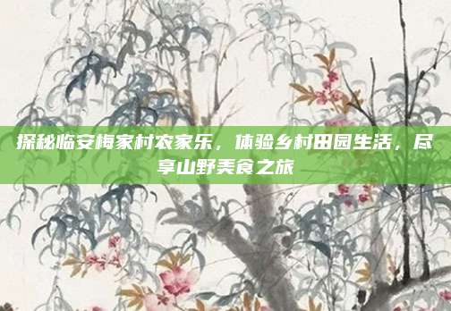 探秘临安梅家村农家乐，体验乡村田园生活，尽享山野美食之旅