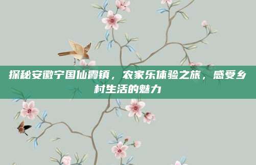 探秘安徽宁国仙霞镇，农家乐体验之旅，感受乡村生活的魅力