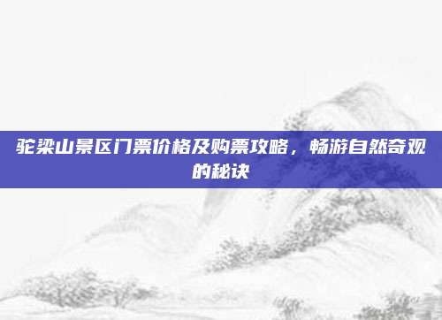驼梁山景区门票价格及购票攻略，畅游自然奇观的秘诀
