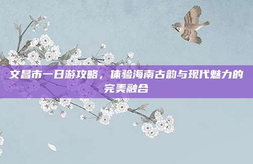 文昌市一日游攻略，体验海南古韵与现代魅力的完美融合