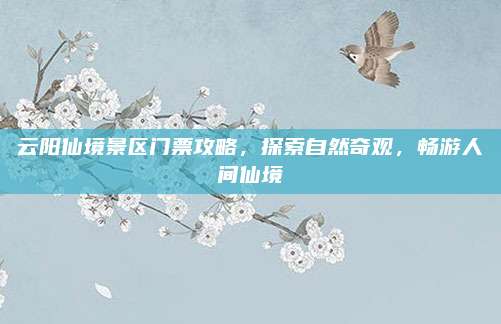云阳仙境景区门票攻略，探索自然奇观，畅游人间仙境