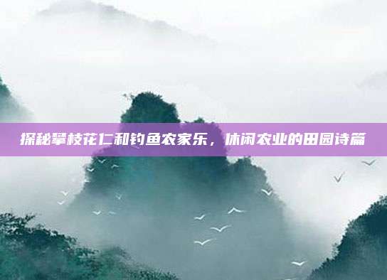 探秘攀枝花仁和钓鱼农家乐，休闲农业的田园诗篇