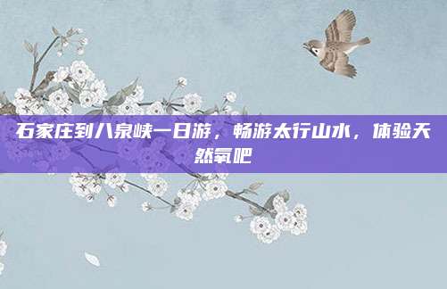 石家庄到八泉峡一日游，畅游太行山水，体验天然氧吧