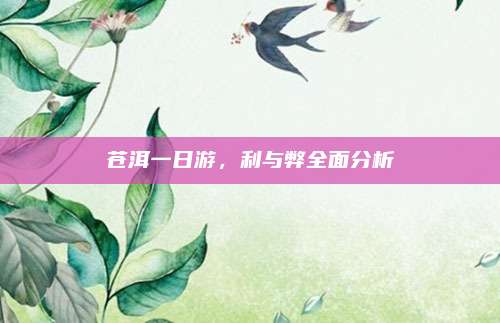 苍洱一日游，利与弊全面分析