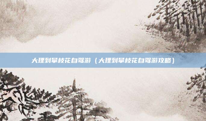大理到攀枝花自驾游(大理到攀枝花自驾游攻略)