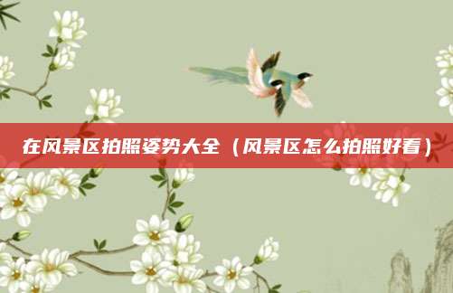 在风景区拍照姿势大全(风景区怎么拍照好看)