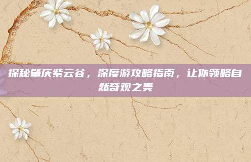 探秘肇庆紫云谷，深度游攻略指南，让你领略自然奇观之美