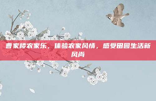 曹家楼农家乐，体验农家风情，感受田园生活新风尚
