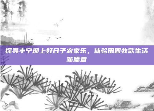 探寻丰宁坝上好日子农家乐，体验田园牧歌生活新篇章