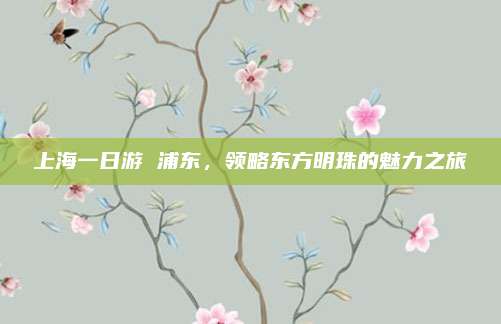上海一日游 浦东，领略东方明珠的魅力之旅