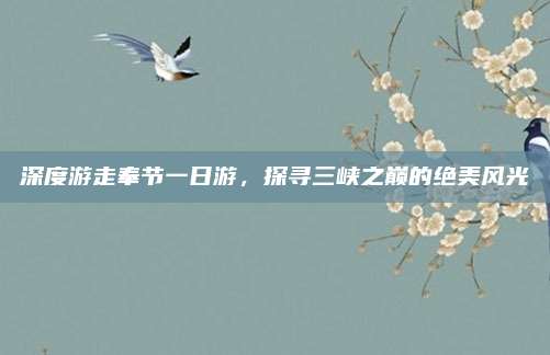 深度游走奉节一日游，探寻三峡之巅的绝美风光