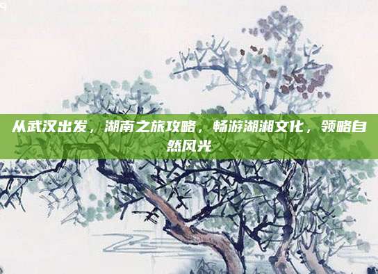 从武汉出发，湖南之旅攻略，畅游湖湘文化，领略自然风光