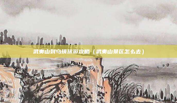 武夷山到乌镇旅游攻略（武夷山景区怎么去）