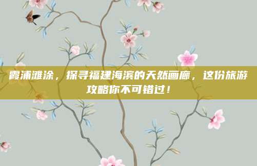 霞浦滩涂，探寻福建海滨的天然画廊，这份旅游攻略你不可错过！
