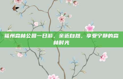 福州森林公园一日游，亲近自然，享受宁静的森林时光