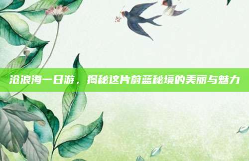 沧浪海一日游，揭秘这片蔚蓝秘境的美丽与魅力