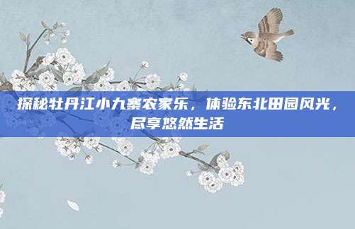 探秘牡丹江小九寨农家乐，体验东北田园风光，尽享悠然生活