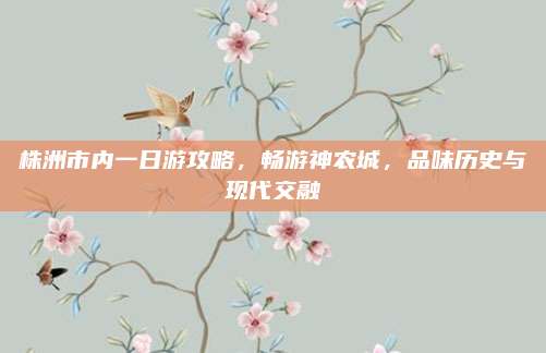 株洲市内一日游攻略,畅游神农城,品味历史与现代交融
