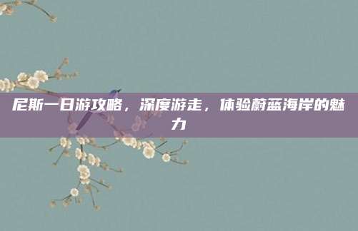 尼斯一日游攻略，深度游走，体验蔚蓝海岸的魅力