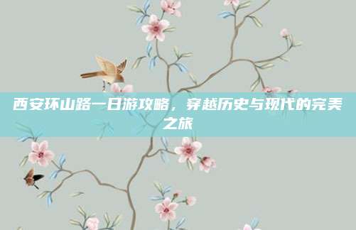 西安环山路一日游攻略,穿越历史与现代的完美之旅
