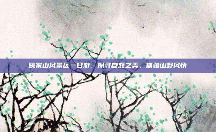 姚家山风景区一日游,探寻自然之美,体验山野风情